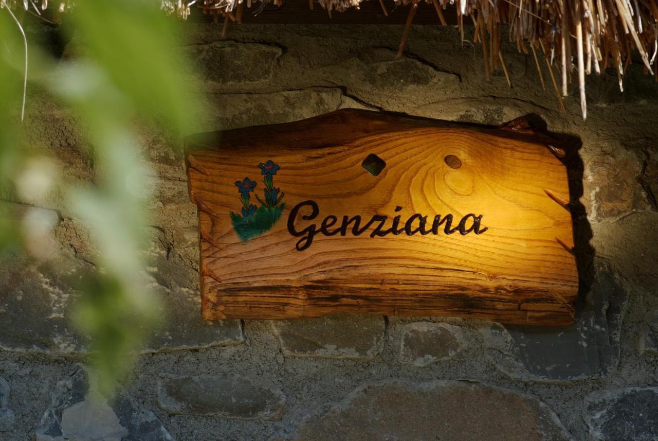 Alpeggio Pruno Villa Corfino Kültér fotó