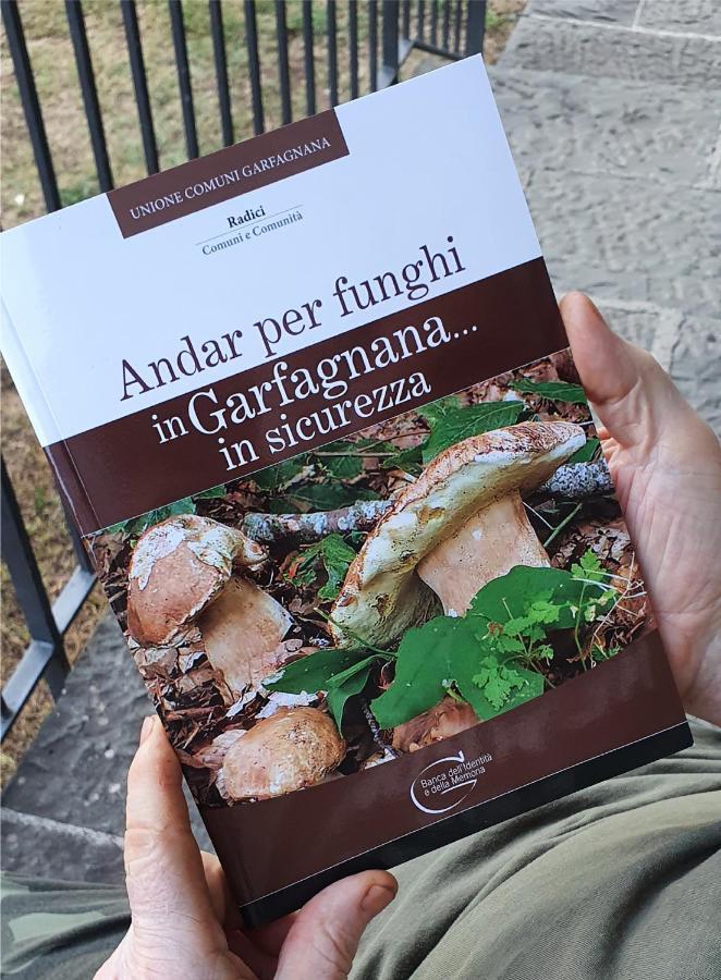 Alpeggio Pruno Villa Corfino Kültér fotó