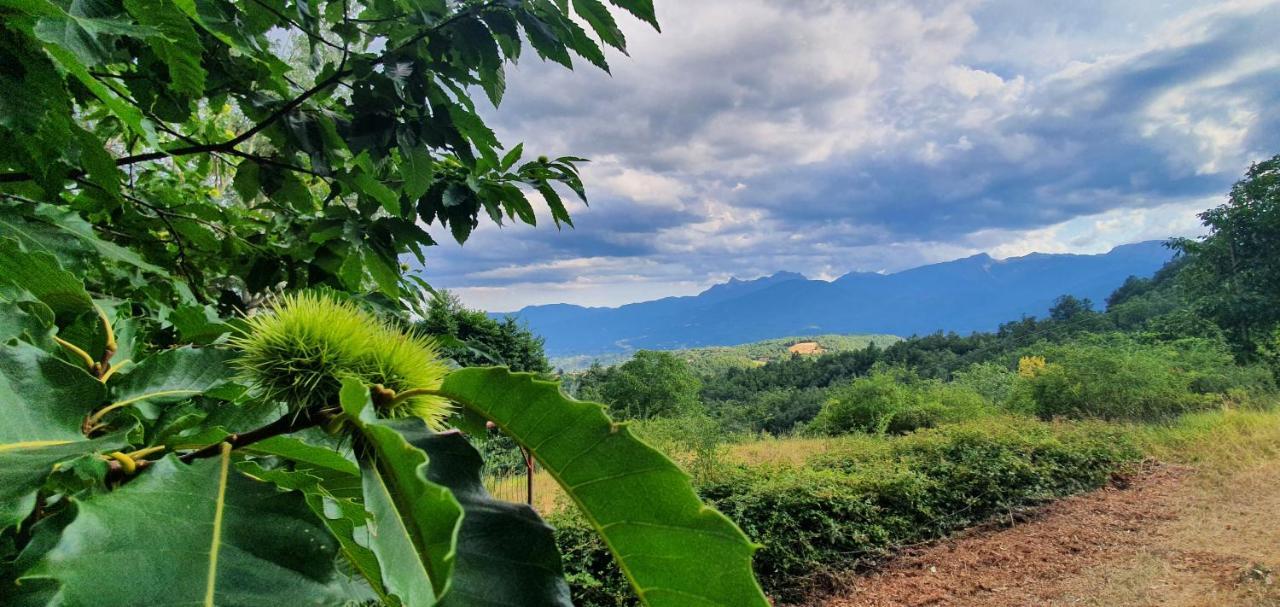 Alpeggio Pruno Villa Corfino Kültér fotó